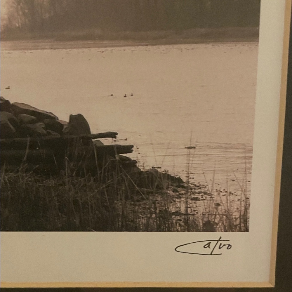Richard Calvo Riverview Professional Framed Black and White Tree Photograph - Picture 3 of 10